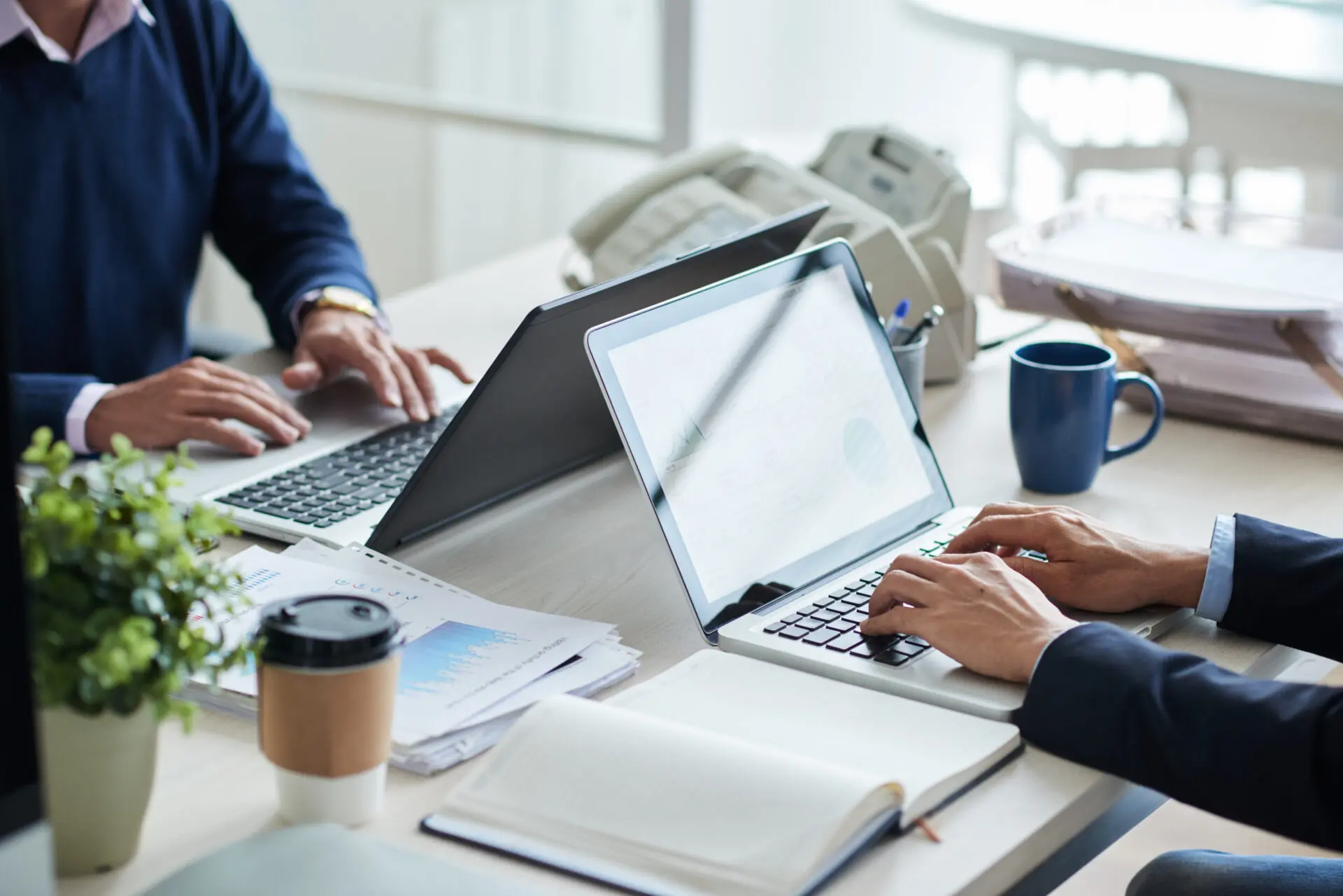 wordpress care corporate